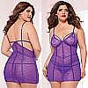 ������� �� ������ �������� PURPLE DIAMOND