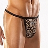  -  Z5316leopard M CQ
