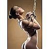    Shibari Rope 10m Brown SH-OU045BRN