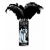  FF LIMITED EDITION LOVE PLUMES 12  441023PD