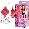 - DEVILISH FANTASIES  5543-33 BX DJ
