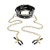 ׸        Gold Collar and Nipple Clamps