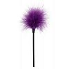       SEXY FEATHER TICKLER 
