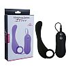 ׸   Prostate Stimulator-Lover - 13 .