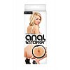  Ashlynn Brooke`s Anal 