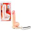    Beginner Tool - 12 .