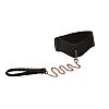    Entice Posture Collar with Leash 