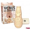 - Venus  