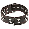    X-Play Collar With D-ring