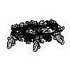   Desiderio - Dolce Piccante, S/M, 