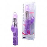     Premium Range Dream7 Hummingbird - 12 . 
  7  :   ,   ,   .