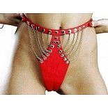 ������� ������� (�������) P77a 
������� ������� �� ��������,���������� ���������.