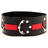 <strong>Ошейник черный с красным  55005ars</strong> <br />
 <div class="charTableblock"><div><span>Материал</span>: кожа</div><div><span>Цвет</span>: черный; красный, розовый</div></div> Ошейник черный с красным  55005ars