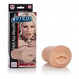 �����������-����� Vivid Raw Hot Ass Mouth  
����������� ����� Vivid Raw Hot Ass Mouth � ����������.