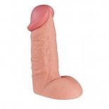   LITTLE DICK - 24 . 
    .