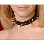 <strong>Ошейник кожаный черный  шириной 20мм с шипами длиной 25мм с цепочкой 3103-1</strong> <br />
Изготовлен из натуральной кожи с велюровой подкладкой. <div class="charTableblock"> </div> Ошейник кожаный черный  шириной 20мм с шипами длиной 25мм с цепочкой 3103-1 
Изготовлен из натуральной кожи с велюровой подкладкой.