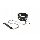 <strong>Дизайнерский ошейник с поводком</strong> <br />
Роскошный поводок, который особенно понравится девушкам. <div class="charTableblock"><div><span>Материал</span>: кожзам</div><div><span>Цвет</span>: черный</div></div> Дизайнерский ошейник с поводком 
Роскошный поводок, который особенно понравится девушкам.