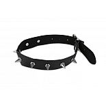 <strong>Узкий ошейник с шипами</strong> <br />
Сочетание блестящей кожи и сверкающего металла так заводит! Подарите себе и своему партнеру незабываемую игру БДСМ. <div class="charTableblock"><div><span>Материал</span>: кожзам</div><div><span>Цвет</span>: черный</div></div> Узкий ошейник с шипами 
Сочетание блестящей кожи и сверкающего металла так заводит! Подарите себе и своему партнеру незабываемую игру БДСМ.