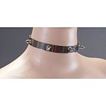 <strong>Металлический ошейник с шипами</strong> <br />
Узкий ошейник выполнен из металла и декорирован металлическими шипами. <div class="charTableblock"><div><span>Материал</span>: металл</div><div><span>Цвет</span>: другой</div><div><span>Производитель</span>: Подиум, Россия</div></div> Металлический ошейник с шипами 
Узкий ошейник выполнен из металла и декорирован металлическими шипами.