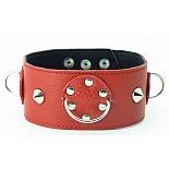 <strong>Ошейник красный с шипами 55017ars</strong> <br />
Красный кожаный ошейник с короткими шипами. <div class="charTableblock"><div><span>Материал</span>: кожа</div><div><span>Цвет</span>: красный, розовый</div></div> Ошейник красный с шипами 55017ars 
Красный кожаный ошейник с короткими шипами.