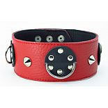 <strong>Ошейник красный-черный с шипами 55016ars</strong> <br />
Красно-черный кожаный ошейник с короткими шипами. <div class="charTableblock"><div><span>Материал</span>: кожа</div><div><span>Цвет</span>: красный, розовый</div></div> Ошейник красный-черный с шипами 55016ars 
Красно-черный кожаный ошейник с короткими шипами.