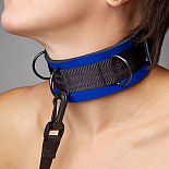 <strong>Чёрно-синий неопреновый ошейник</strong> <br />
Ошейник выполнен из современного материала № мягкого пенистого неопрена, ламинированного шелковистым спандексом (относится к классу Soft-bandage), прекрасный аксессуар для начинающих. <div class="charTableblock"><div><span>Материал</span>: текстиль</div><div><span>Цвет</span>: другой</div><div><span>Производитель</span>: Sitabella, Россия</div></div> Чёрно-синий неопреновый ошейник 
Ошейник выполнен из современного материала № мягкого пенистого неопрена, ламинированного шелковистым спандексом (относится к классу Soft-bandage), прекрасный аксессуар для начинающих.