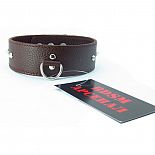 <strong>Коричневый кожаный ошейник с кольцом</strong> <br />
Ошейник коричневого цвета, выполнен из высококачественной кожи, украшен шестью небольшими шипами по всей длине изделия. <div class="charTableblock"><div><span>Материал</span>: кожа</div><div><span>Цвет</span>: другой</div><div><span>Производитель</span>: БДСМ арсенал, Россия</div></div> Коричневый кожаный ошейник с кольцом 
Ошейник коричневого цвета, выполнен из высококачественной кожи, украшен шестью небольшими шипами по всей длине изделия.