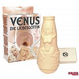 �����������-����� Venus � ��������� 
�������� ����������� � �������������� ����������� ����������!  ������������ ��������� ������������� ����� ������������, ������������ �������� �����.