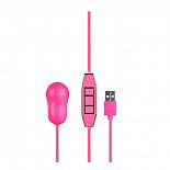      USB LET US-B 10 RHYTHMS BULLET LARGE PINK 
     USB LET US-B 10 RHYTHMS BULLET LARGE PINK.
