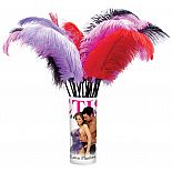 ���� Ff Love Plumes Pipedream 
�������� ��������� ��� ������ �����.