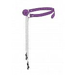 <strong>Кляп с зажимами для сосков OUCH Purple SH-OU151PUR</strong> <br />
 <div class="charTableblock"> </div> Кляп с зажимами для сосков OUCH Purple SH-OU151PUR