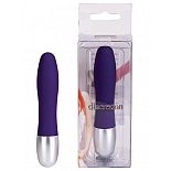   Discretion Probe - 11 . 
    .