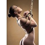 �������� ��� ������� Shibari Rope 10m Brown SH-OU045BRN 
"������� ��� ������� .