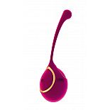   Zeki 
       -     ,     .