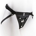 -   Fit Rite Harness 
        .