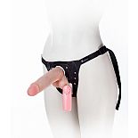      Harness, 19 .,  
      Harness    ,           .