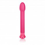   Coco Licious Slender Tulip Vibes - 17 . 
   ,              : Coco Licious Slender Tulip      ,       ,          .