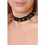 <strong>Ошейник с шипами черный</strong> <br />
Изготовлен из натуральной кожи с велюровой подкладкой. <div class="charTableblock"><div><span>Материал</span>: кожа</div><div><span>Цвет</span>: черный</div></div> Ошейник с шипами черный 
Изготовлен из натуральной кожи с велюровой подкладкой.