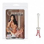 <strong>Зажим на половые губы Cleopatra Clit-Pearl Red 2621-11CDSE</strong> <br />
Интимное украшение для половых губ с украшением из красных  бусинок. <div class="charTableblock"> </div> Зажим на половые губы Cleopatra Clit-Pearl Red 2621-11CDSE 
Интимное украшение для половых губ с украшением из красных  бусинок.