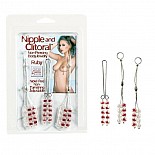 <strong>Набор эротических подвесок на соски и клитор Nipple/Clit Jewel Ruby2611-11CDSE</strong> <br />
Материал изготовления-пластик ABS и нейлон. <div class="charTableblock"> </div> Набор эротических подвесок на соски и клитор Nipple/Clit Jewel Ruby2611-11CDSE 
Материал изготовления-пластик ABS и нейлон.