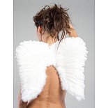 ������ ������ ������ 02425 
