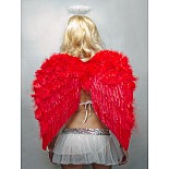 ������ �������� ������� 60�50��  02316 
��� ���������� ������� �� ��������, �� ��� ����������� ���������� ��������� �������? ����� ������ ��� ����������? ����� ������ ������ ������ ������ �� ���� ����-�������� �����, ������ ���� ������� ������ � � �� ��������� ������ ��� ����������� ���������.