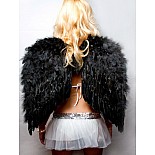 ������ ���������� ������ 60*50 �� 02589 
������������ ������ ������� ������ � ��� ������ �������������� �������, � ��� ����� ������� ����� ����������� ���� �����������.