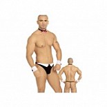 ������ ������ - �������, ������� � �������, ���� ������, ������ O/S 
