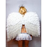 ����������� ������ �������� ����� 80�80  
������ (������): 80 ��
������:  80 ��
����: �����