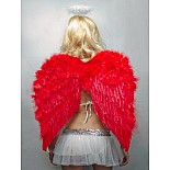 ������ �������� ������� 60�50�� 
������ (������) 60 ��
������ 50 ��
����: �������