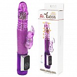 - Mr. Rabbit Up and Down  BW-037351 
<br>: <b>Baile</b><br/>
