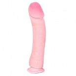  The Big Penis BW-007012C 
 The Big Penis BW-007012C  ,       ,        BW-007012C.