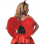 ������ �������� ������������ 60�50�� ������� 
������ (������) 60 ��
������ 50 ��
����: �������