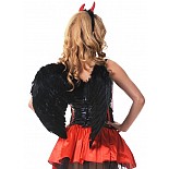 ������ �������� ������������ 60�50�� ������ 
������ (������) 60 ��
������ 50 ��
����: �����